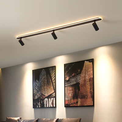 Modern Led Ceiling Lights For Living Room Bedroom shop track light(WH-MA-216)