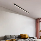Long Strip Ceiling Lights Simple Balcony Bedroom Background Wall Living Room Minimalism Ceiling Lights(WH-MA-288)