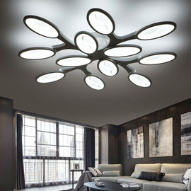 Simple bedroom ceiling lights for Living room Bedroom Kitchen (WH-MA-63)