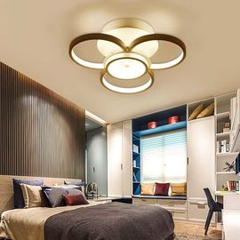 Basic ceiling light fixture restaurant indoor home lighting (WH-MA-106)