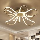 Standard ceiling light fixture for indoor home Lighting Fixtures (WH-MA-112)