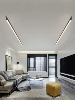 ceiling lamps kitchen living room led bedroom dining room nordic modern aisle balcony strip light(WH-MA-313)