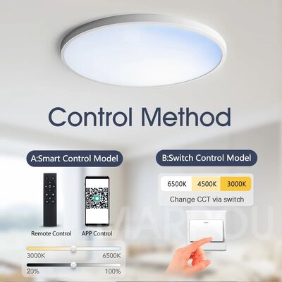 Home Decor Lamp Bedroom Aisle Living Room LED Modern Blue Sky Moon Ceiling Light(WH-MA-319)