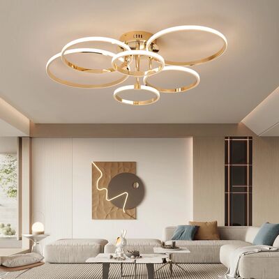 ceiling lamps living room Kitchen lamps bedroom Scandinavian luxury Ring Ceiling light(WH-MA-325)