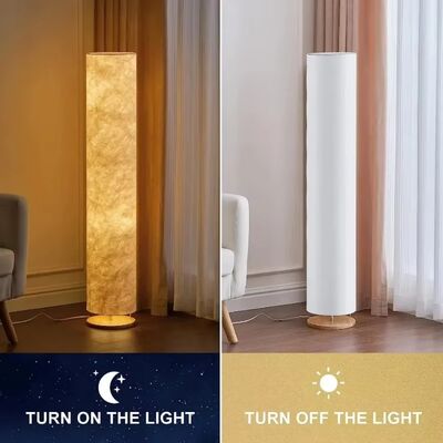 Decoration Stand Lamp Bedroom Game with Remote Control LED Simple Design Floor Lamps(WH-MFL-199)