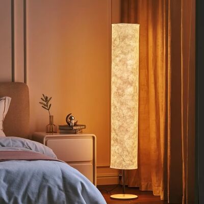 Decoration Stand Lamp Bedroom Game with Remote Control LED Simple Design Floor Lamps(WH-MFL-199)