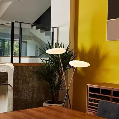 Bedroom Led Lights Living Room Decorations Postmodern Designer Floor Lamps(WH-MFL-220)