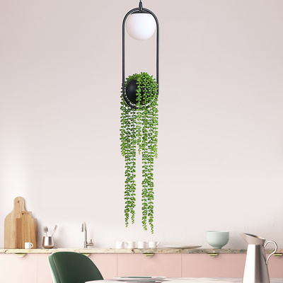 Creative Plant LED Pendant Lights Modern Indoor Lighting Grass Hanging Lamps(WH-GP-69)